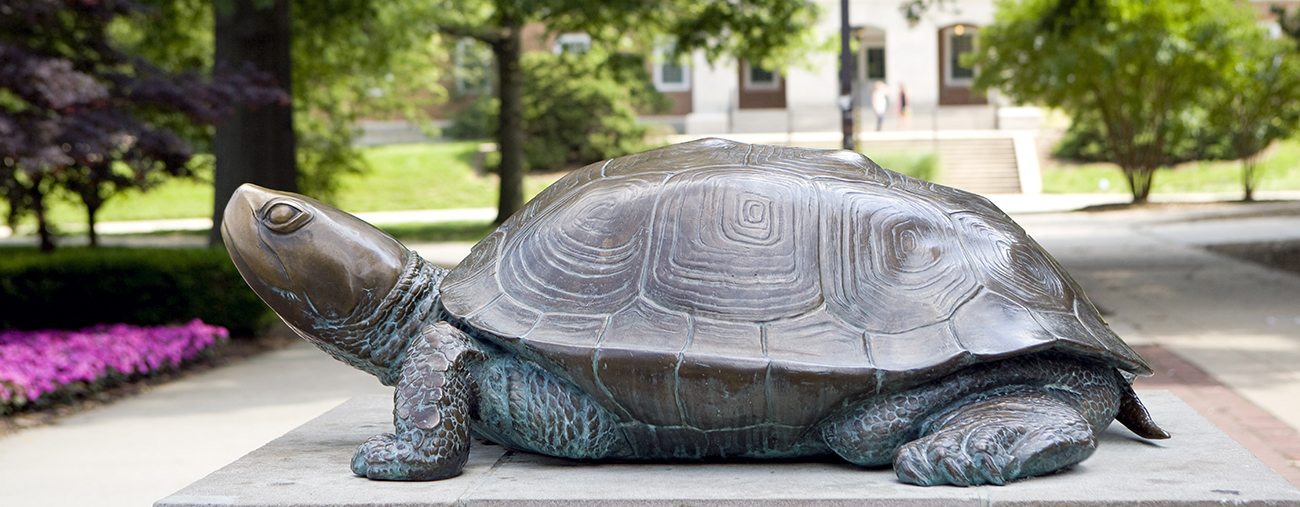 Testudo